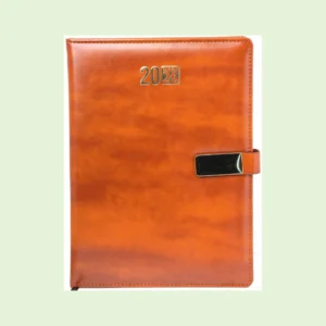 Diaries 11 For Website